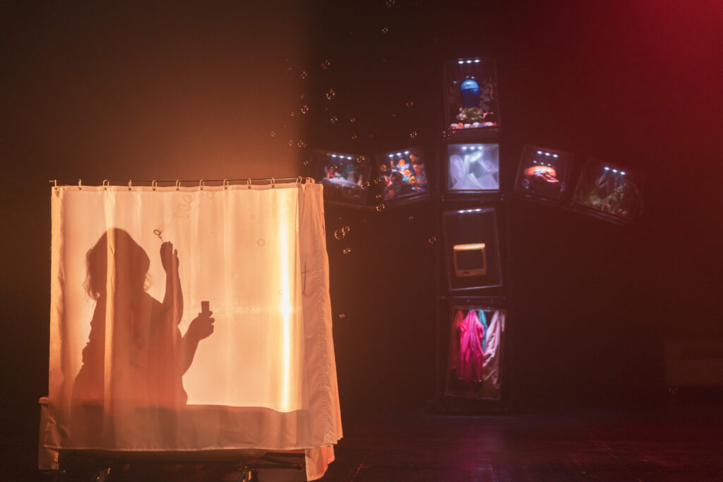 une comédienne en ombre chinoise avec une création de costume à Bordeaux